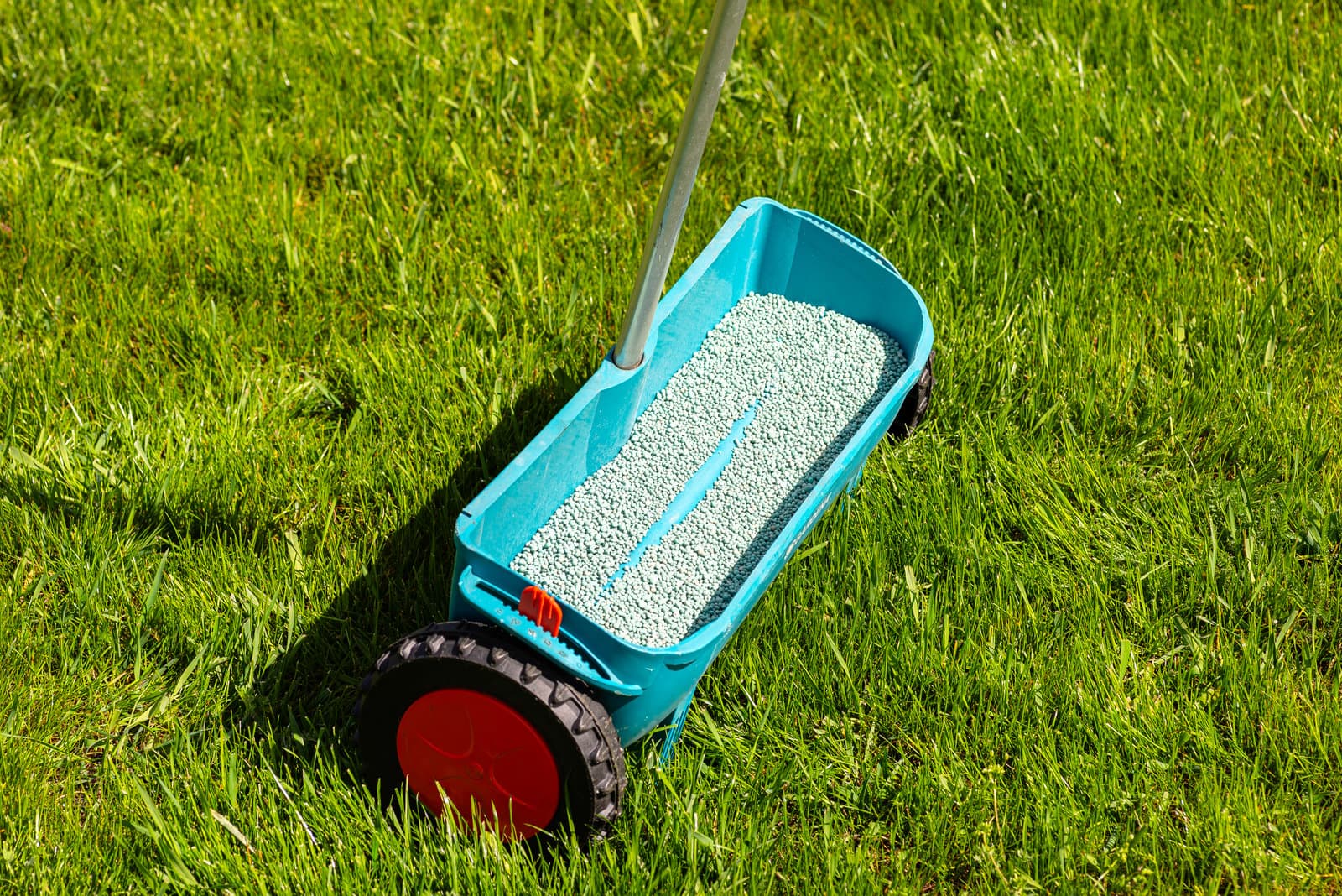 Lawn fertilization treatment in Mystic and Groton, CT