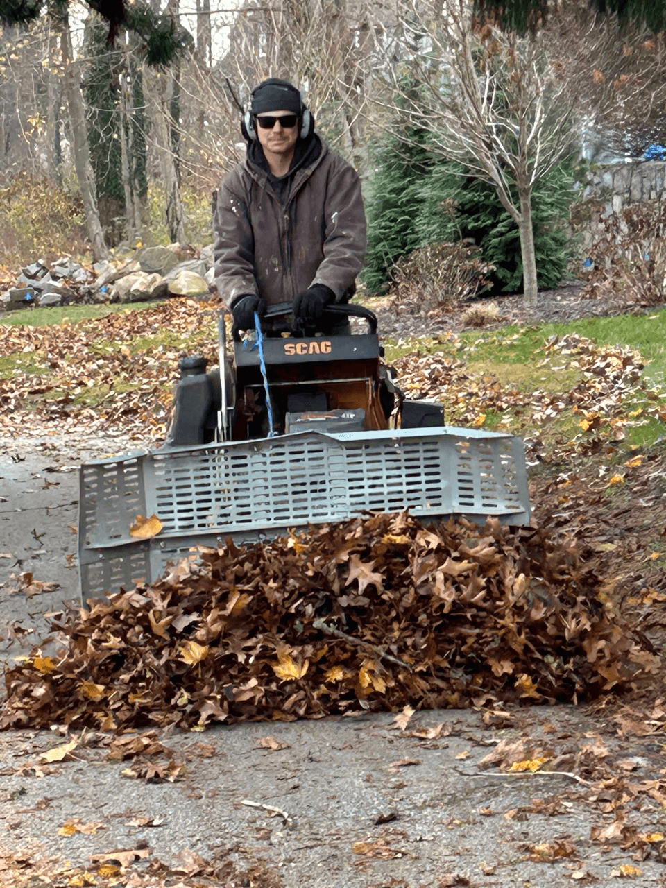 Seasonal Cleanups