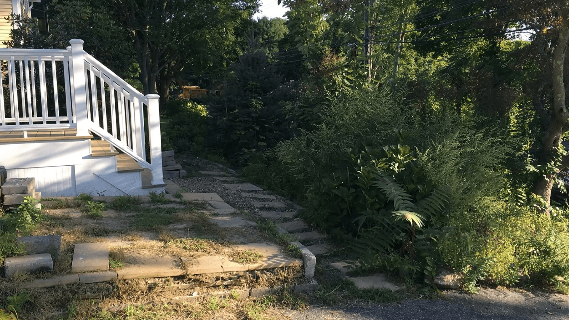 Driveway Edge before